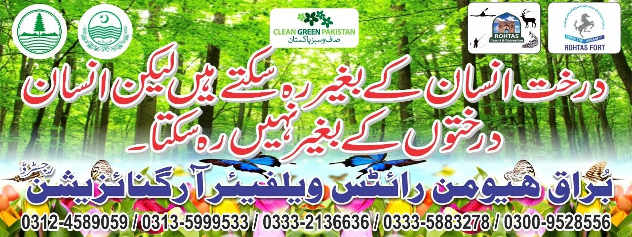Eco Projects